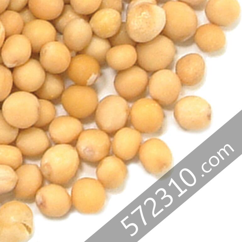 マスタードシード（イエロ−）　50g