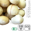 オーガニック・ マカダミアナッツ(生) Style1R 500g ケニア産 有機マカダミアナッツ マカデミアナッツ