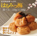 700g×2個購入で梅酢プレゼント! 紀州南高梅 はちみつ梅 塩分8% 大容量 はちみつ 梅干し 訳あり 南高梅 紀州南高梅つぶれ梅 和歌山 ミネラル 紀州梅干...