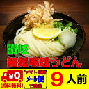 うどん 讃岐うどん セット 徳用9人前 送料無料 ネコポス ご当地うどん【日本全国送料無料】