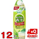 毎日1杯の青汁 1L 6本×2ケース 12本 屋根型キャップ付容器 伊藤園1000ml 紙パック