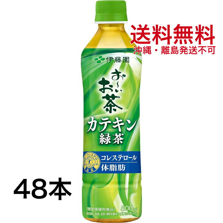 カテキン緑茶500ml 2ケース 伊藤園 2