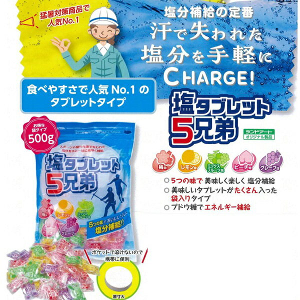 【送料無料】ぶどう糖入 塩タブレット 5兄弟 ...の紹介画像2