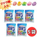 【送料無料】ぶどう糖入塩タブレット 5兄弟 5袋セット 熱中症 熱中症対策 塩分補給 塩飴 タブレット エネルギー 補給 夏真 炎天下 現場 工事 外仕事 登山...