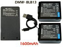 DMW-BLB13 互換バッテリー 1600mAh 2個 超軽量 USB Type C 急速 互換充電器 バッテリーチャージャー DE-A43A 1個 3点セット 純正品と同じよう使用可能 残量表示可能 Panasonic パナソニック LUMIX ルミックス DMC-GH1 DMC-G1 DMC-GF1 DMC-G2 DMC-G10