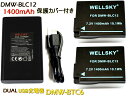 DMW-BLC12 互換バッテリー 1400mAh 2個 デュアル USB Type C 急速 互換充電器 バッテリーチャージャー DMW-BTC6 DMW-BTC12 1個 3点セット 純正品と同じよう使用可能 残量表示可能 Panasonic パナソニック DMC-GH2 DMC-G6 DMC-G7 DC-G99