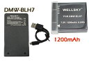 DMW-BLH7 互換バッテリー 1200mAh 1個 DMW-BTC9 DMW-BTC12 超軽量 USB Type C 急速 互換充電器 バッテリーチャージャー 1個 2点セット 純正品と同じよう使用可能 残量表示可能 Panasonic パナソニック LUMIX ルミックス DMC-GM1S DMC-GF7 DC-GF10