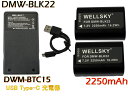 DMW-BLK22 互換バッテリー 2個 & DMW-BTC15