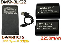 DMW-BLK22 互換バッテリー 2個 & DMW-BTC15 [ 超軽量 ] USB Type C 急速 互換充電器 バッテリーチャージャー 1個 [3点セット] [純正品と同じよう使用可能] Panasonic パナソニック LUMIX ルミックス DC-S5 DMW-BTC15 DC-S5-K DC-GH6 DC-GH5S DC-S5M2 DC-S5M2X DC-S5II