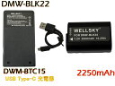 DMW-BLK22 ݊obe[ 1 & DMW-BTC15 [ y ] USB Type C } ݊[d obe[`[W[ 1 [2_Zbg] [iƓ悤gp\] Panasonic pi\jbN LUMIX ~bNX DC-G9M2 DMW-BTC15 DC-S5-K DC-GH6 DC-GH5S DC-S5M2 DC-S5M2X DC-S5IIX