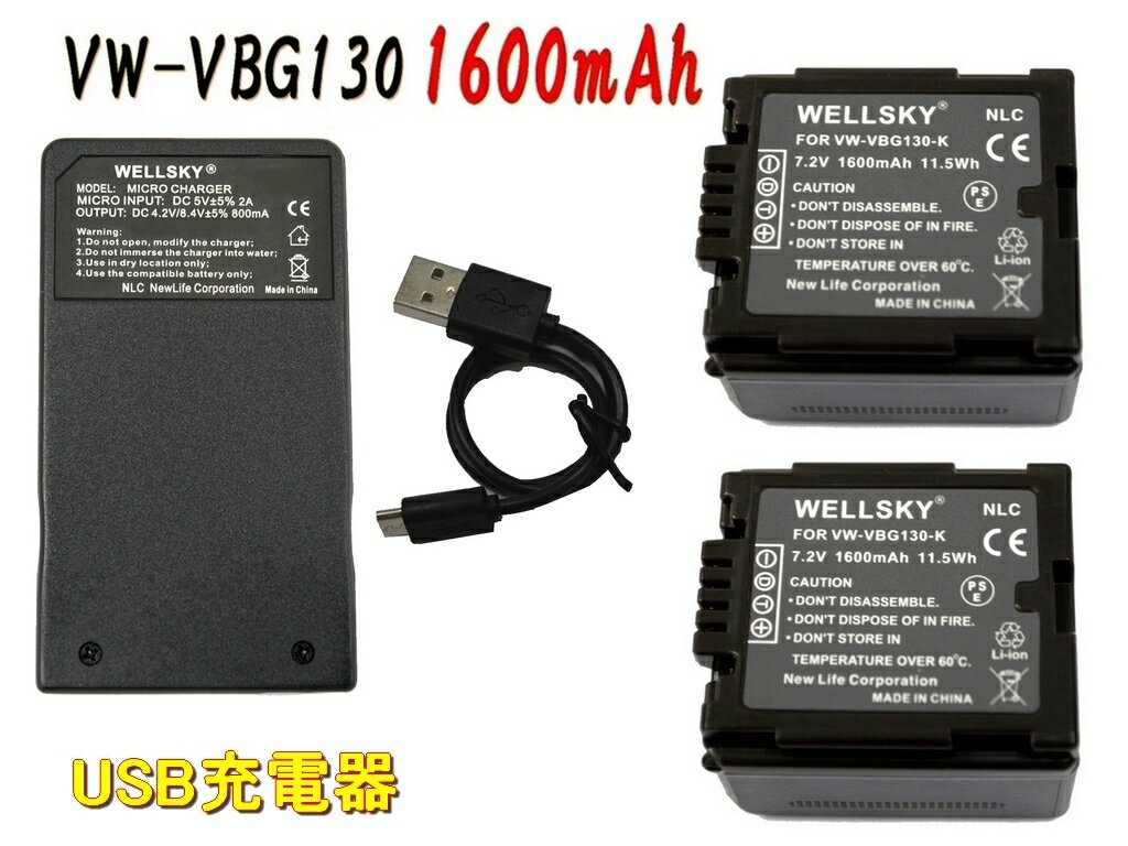 VW-VBG130 VW-VBG130-K 互換バッテリー 2個