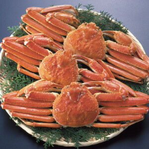 【加能ガニ】石川県でとれたブランド蟹！美味しい加能ガニのおすすめは？