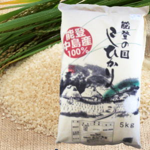 【玄米】【送料無料！】新米！能登中島産100%！能登の国こしひかり5kg【玄米】×3袋