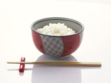 【送料無料!】【精米無料!】新米!能登産100%!こしひかり30kg(玄米)