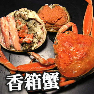 【送料無料】能登半島　訳あり香箱蟹（甲箱蟹・こうばこがに）10杯セット