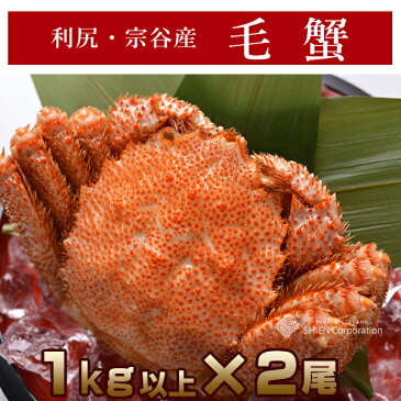 利尻・宗谷産 毛蟹(毛ガニ) 超特大サイズ 1kg前後×2尾 利尻漁業協同組合瞬間冷凍加工 毛がに ギフト kani 利尻島 産直 利尻漁協 お中元 贈答 蟹 内祝 お取り寄せ 景品 送料無料