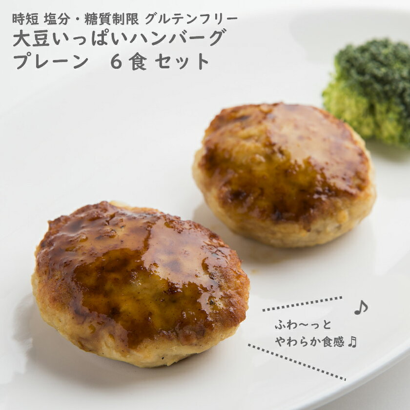 抵糖質 手軽な 冷凍総菜 【大豆 いっぱい ハンバーグ プレーン 6食入】 健康に気を使った 無添加 冷凍 そうざい 冷凍 デリ 食品 時短 主菜 早くて簡単 塩分制限 塩分控えめ 糖質制限 お肉 グルテンフリー　国産