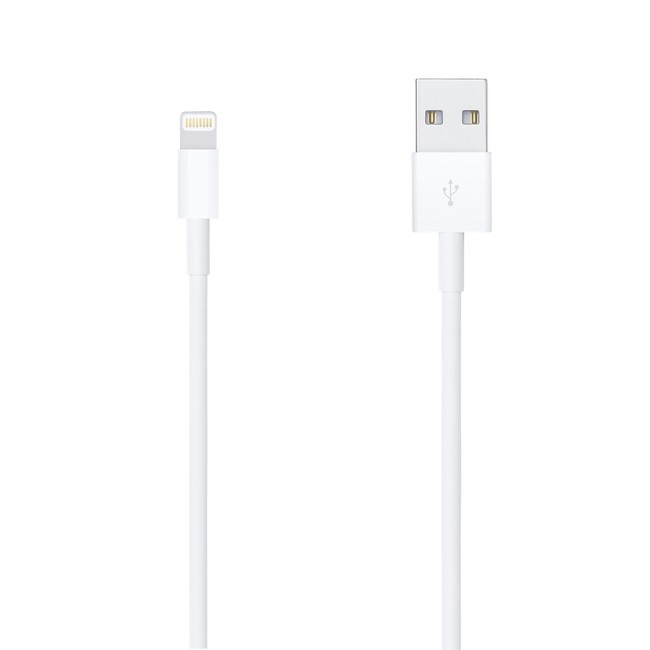 ライトニングケーブル 純正 Apple純正 Lightning-USBケーブル (0.5m) (ME291AM/A) iphone ipad ipod 50cm ショートケーブル PayPay ■