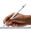 新品未開封 Apple純正 Apple Pencil 第1世代 USB-C Apple Pencilアダプタ付属 アップルペンシル iPad Pro対応  アップル国内正規品 ■