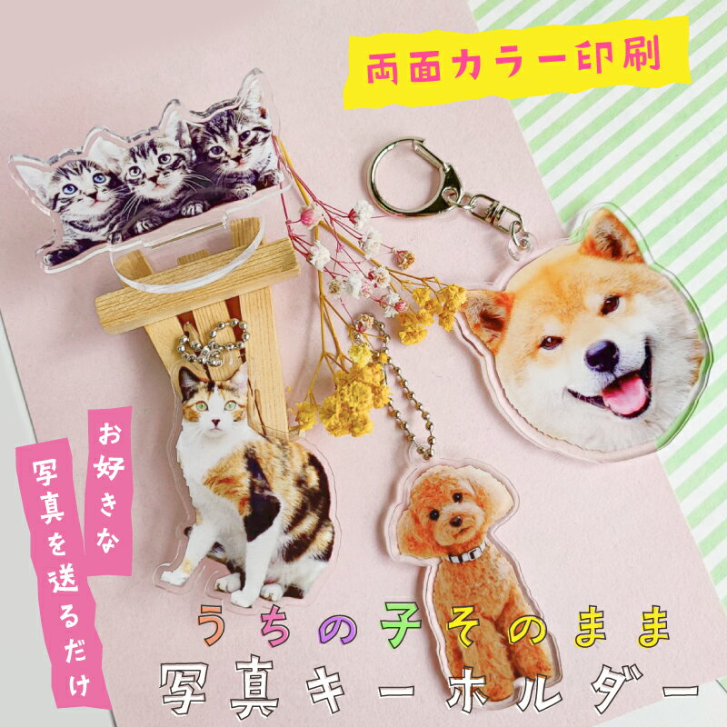 BBロゴエナメルミニチャーム バディベルト BUDDY BELT BUDDYBELT 犬 犬用 ペット ドッグ バディーベルト正規輸入代理店 正規店 BB Logo Enamel Charm