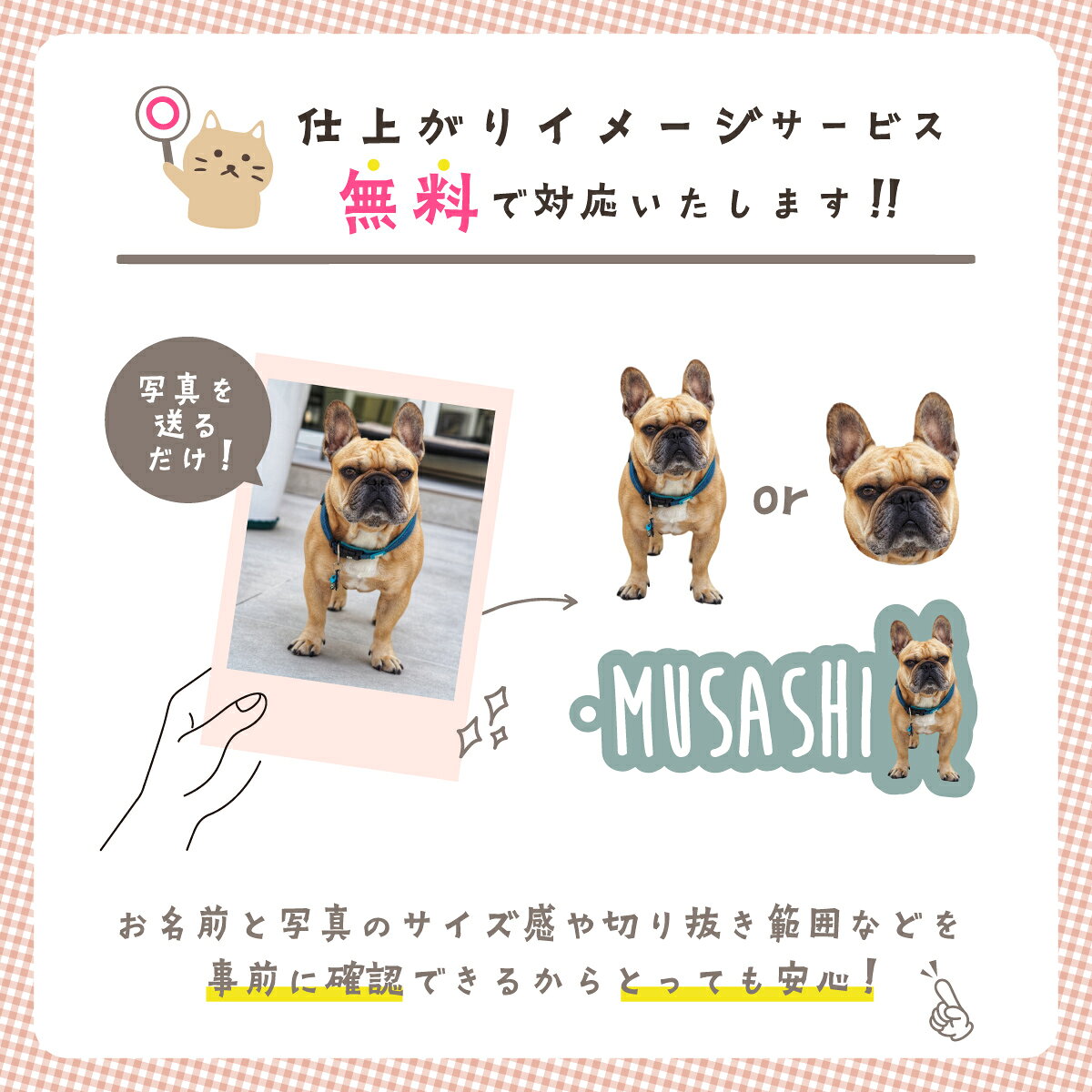 ���ڤ�ȴ�������ӥ��դ��ۡڥ�ӥ塼��ŵ����ۥ�����륭���ۥ���� �̿� �� ���� �ڥå� ���ꥸ�ʥ� ̾������ ̾���� ���ꥢ�륰�å� �����λҥ��å� �̿������ۥ���� �̿��ץ��� �ڥåȥ��å� ǭ ��ǭ �ڥåȤμ̿��Ǻ�� �䤷�� ���� ����