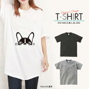 Tシャツ レディース メンズ クルーネック 丸首 綿 半袖 カットソー 大人かわいい オシャレ かっこいい ペア カップル おそろ リンクコーデ