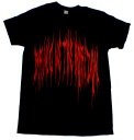 【BRING ME THE HORIZON】ブリング ミー ザ ホライゾン「PRAYING AMENED」Tシャツ