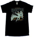 楽天バンドTシャツ NO-REMORSE【LED ZEPPELIN】レッドツェッペリン「TOUR ’75 FLAG」Tシャツ