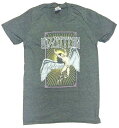 楽天バンドTシャツ NO-REMORSE【LED ZEPPELIN】レッドツェッペリン「ICARUS GRAY」Tシャツ