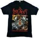 【DYING FETUS】ダイイングフィータス「PURIFICATION THROUGH VIOLENCE」Tシャツ