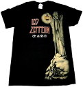 楽天バンドTシャツ NO-REMORSE【LED ZEPPELIN】レッドツェッペリン「HERMIT」Tシャツ