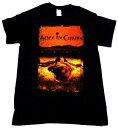 【ALICE IN CHAINS】アリスインチェインズ「DIRT」Tシャツ