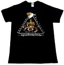 【A PERFECT CIRCLE】ア パーフェクト サークル「SURRENDER」Tシャツ