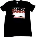 【THE JESUS AND MARY CHAIN】ジーザスアンドメリーチェイン「PSYCHOCANDY」Tシャツ