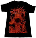 楽天バンドTシャツ NO-REMORSE【CATTLE DECAPITATION】キャトルデカピテーション「REGRET AND THE GRAVE」Tシャツ