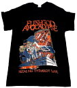 【FLESHGOD APOCALYPSE】フレッシュゴッドアポカリプス「HEALING THROUGH WAR」Tシャツ