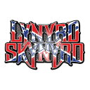 【LYNYRD SKYNYRD】レイナード スキナード「FLAG LOGO」メタルピンバッジ