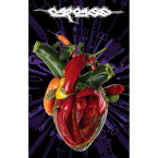 【CARCASS】カーカス「TORN ARTERIES」フラッグ