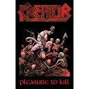 【KREATOR】クリエーター「PLEASURE TO KILL」フラッグ