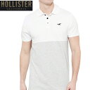 HOLLISTERホリスター正規品メンズStretch Pique Colorblock Polo鹿の子 半袖ポロシャツ321-364-0674-100インポートブランド海外買い付け