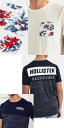 ホリスター メンズ Tシャツ 正規 Hollisterメンズ 正規品 半袖 San Pedro Bayプリント　丸首Tシャツ　正規　アメカジ　インポートブランド ラストSALE 返品交換不可