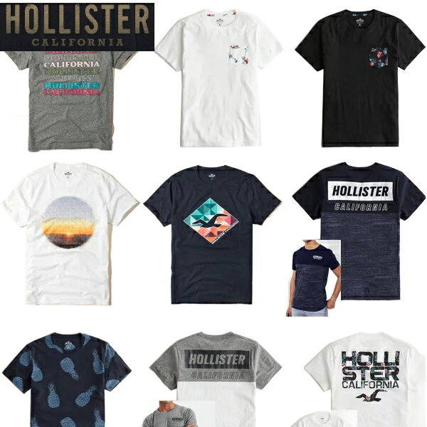 ホリスター メンズ Tシャツ 正規 Hollisterメンズ 正規品 半袖 San Pedro Bayプリント　丸首Tシャツ　正規　アメカジ　インポートブランド ラストSALE 返品交換不可