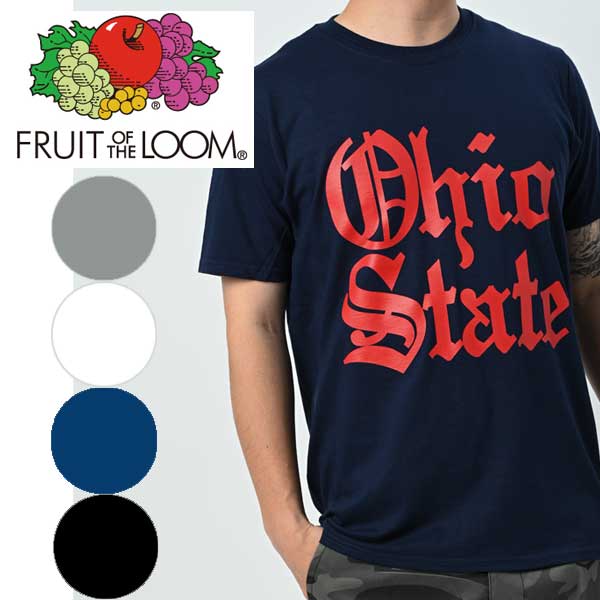 FRUITOFTHELOOMե롼ĥ֥롼tTEEĥץȥOHIO󥺥ᥫåץȹȾµT