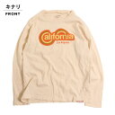 XIWi noa department store.  TVc80's CaliforniaTi175cmjy1_̂݃[։zmAfp[ggXgA IWi