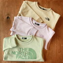 【国内正規品】ザ・ノース・フェイス THE NORTH FACE カラライズスウェットクルー(100cm 110cm 120cm 130cm 140cm 150...