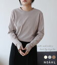 楽天NOAHL-ノアル【メール便】《対象クーポンで50％OFF→2,695円》ロンT 肉厚 レディース 綿100％ 刺繍 ポイント くすみカラー tシャツ インナー レイヤード 重ね着 長袖 秋 冬 無地 エクリュ ブルーグレー ノアル 230911 s_sale