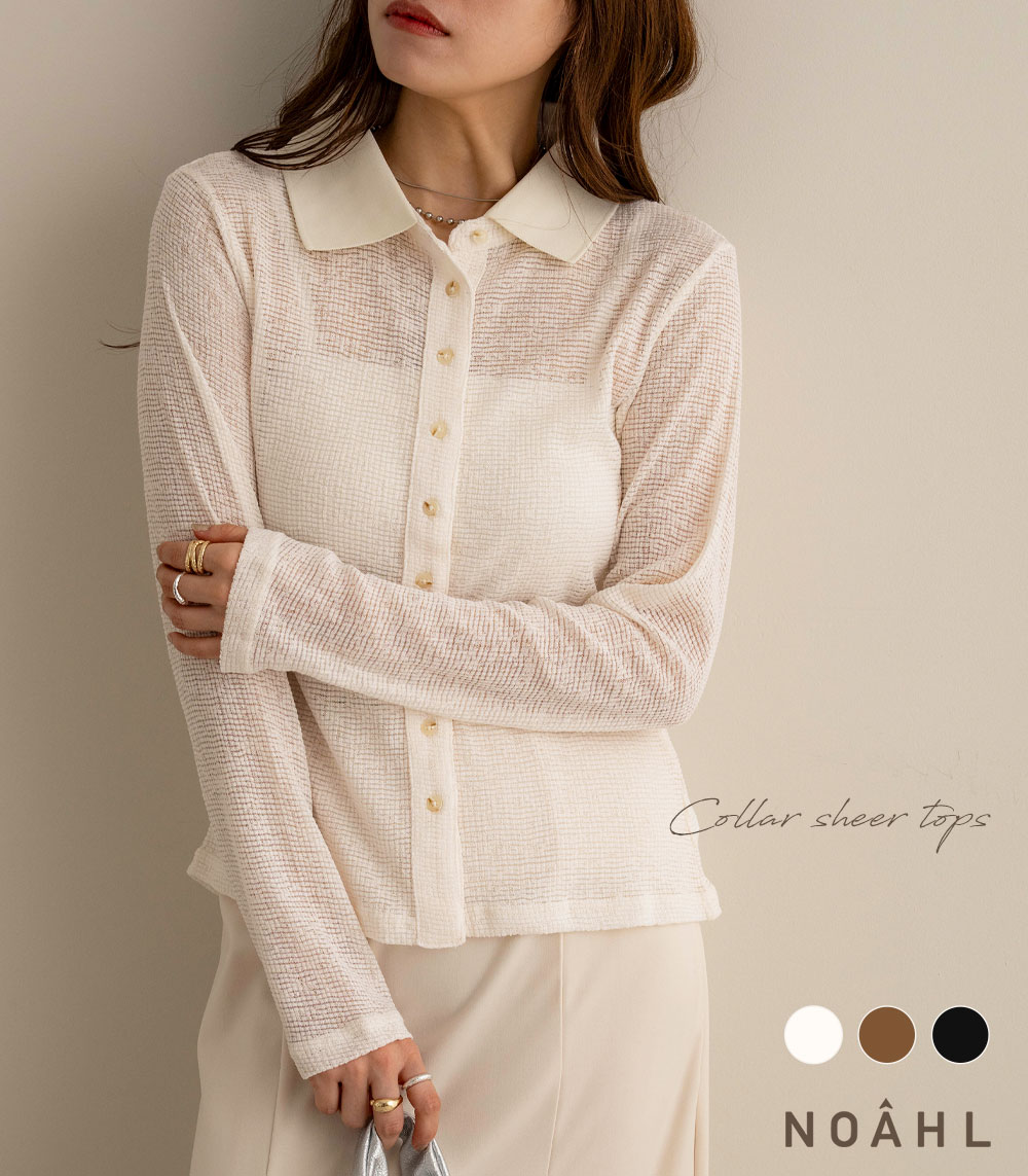 NOAHL｜《4,788円→40%0FFクーポン利用》【メール便】襟付き シアートップス トップス レディース 襟 シアー 長袖 アイボリー ブラウン ブラック 黒 ノアル 250924のサムネイル