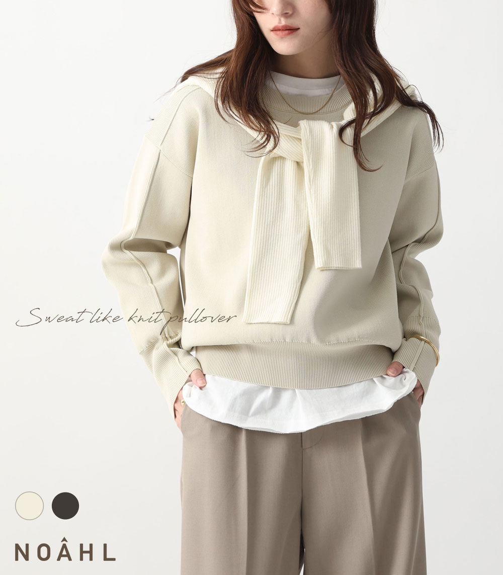 NOAHL｜《4,188円→40%0FFクーポン利用》【メール便】スウェット ライク ニット プルオーバー レディース トップス ニットトップス スウェットライク 長袖 無地 ライト ベージュ ダーク ブラウン 冬 春 秋 ノアル 251203【予約】のサムネイル