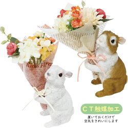 ミニチュア