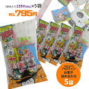 HW-OKS-SET/ハロウィン お菓子 詰め合わせ 5個セット/駄菓子/HELLOWEEN/スナック/子供/キッズ/パーティー/キャンプ/プチギフト/プレゼント/業務用/仮装